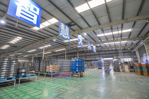 重慶 以智能化驅動轉型升級，汽車零配件批發行業質效雙提升