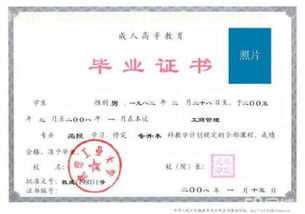 沈陽百晟教育信息咨詢中心 專業(yè)教育培訓(xùn)的熱門選擇與市場(chǎng)分析